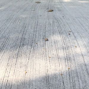 Meet your Posher, Cole